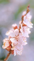 2E4D8D6D-B1A9-40C3-8156-56D291D9D713/L0/001