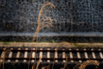 265573