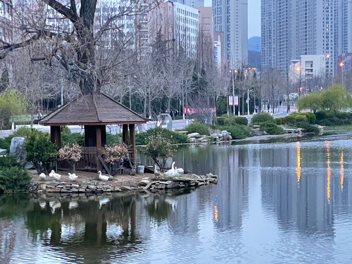 傍晚心海湖随拍