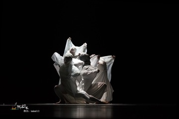 DSC07956-1