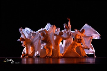 DSC07979-1