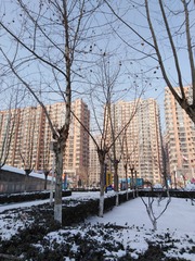 IMG_20200207_124907