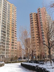 IMG_20200207_130340