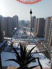 IMG_20200207_140340