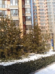IMG_20200207_130351