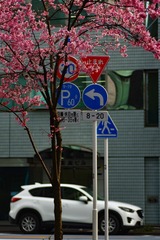 240BB874-69C2-43EE-BF26-782B473F67FC/L0/001