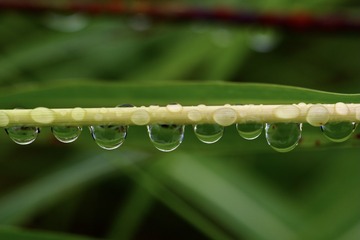 6BBD7F48-BB17-46A1-A9CE-A834671334F6/L0/001