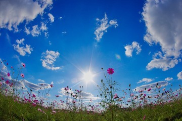 765AC049-560D-4A9F-B102-E63E9CBF2670/L0/001