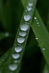 CCCBAE41-E0F2-4B1F-9388-0CC3D3CF67AC/L0/001