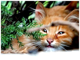 PicsArt_10-11-05.05.38