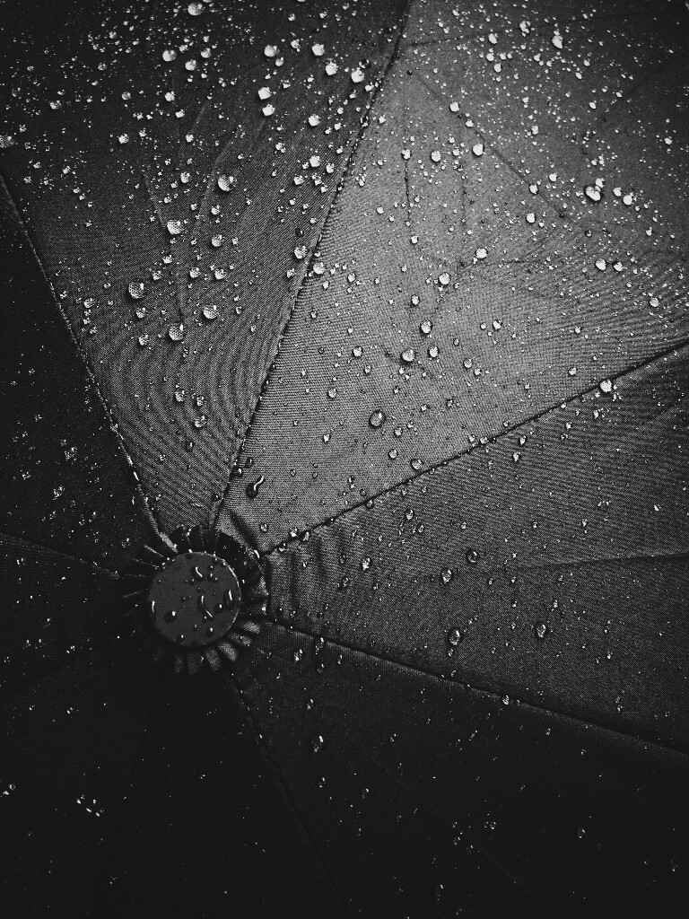 伞说：“雨，谢谢一直有你陪我。”