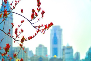 1604_未命名_0003-13