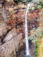 20121110-PB100457