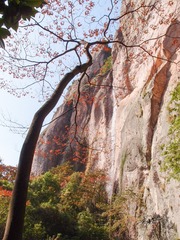 20121111-PB110732