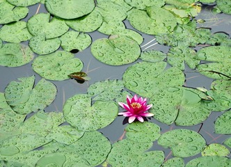 20161026_DSC5078