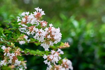 20161013_DSC4926