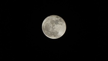_DSC5128