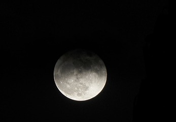 _DSC5124