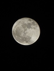 20161115_DSC5128
