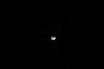 20161115_DSC5124