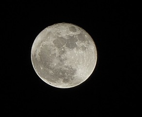 20161115_DSC5128