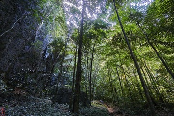20170310_DSC7017