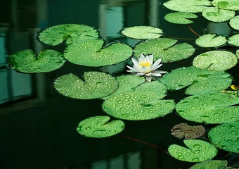 20161026_DSC4996