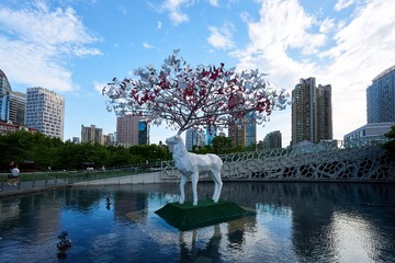 20170603_DSC0897