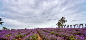 20170612_DSC2680