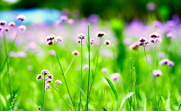 20170612_DSC2816