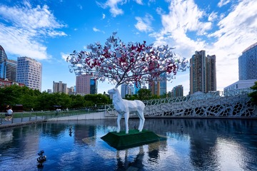 20170603_DSC0897