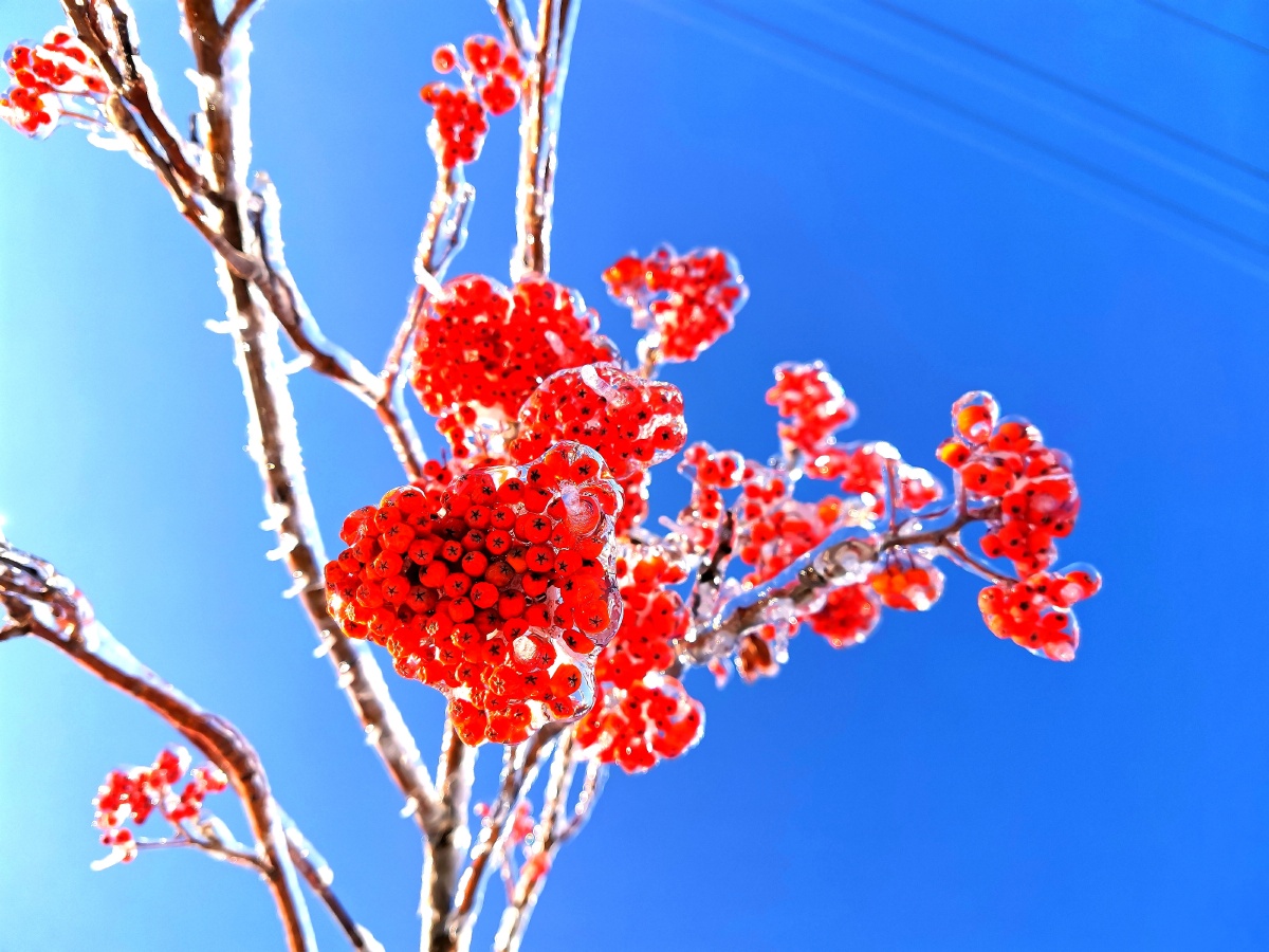 果然还是冰溜子最好看ω79