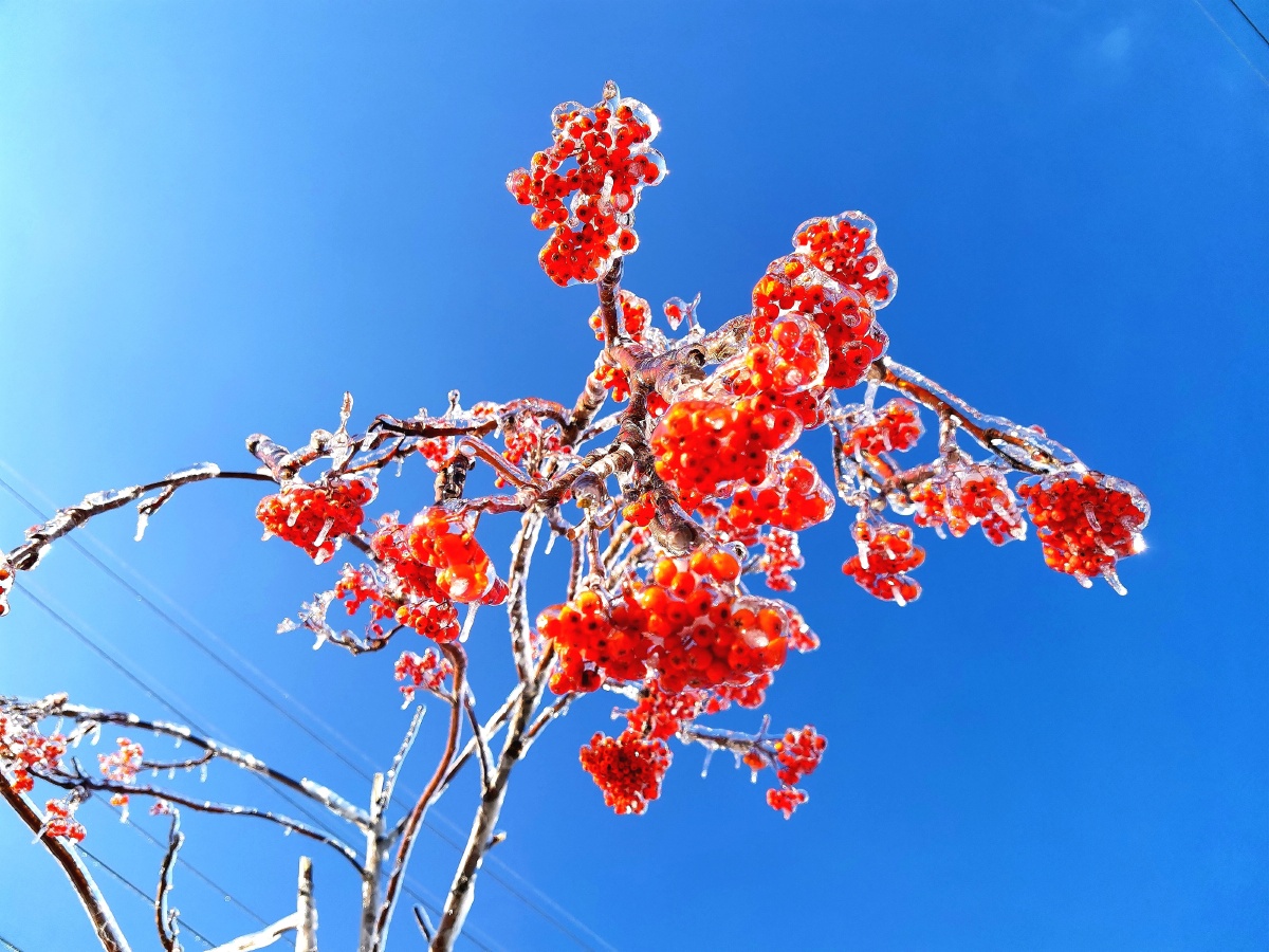 果然还是冰溜子最好看ω79