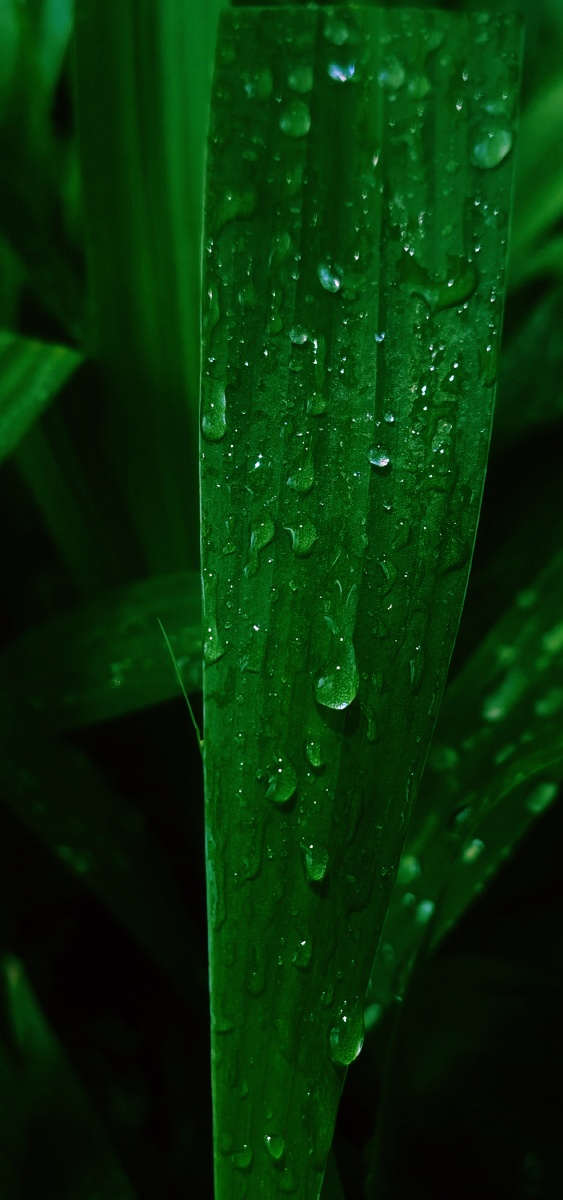 2021年7月9日拉黑胡李糊图2021年5月22日拉黑yaniini2021年5月23日拉