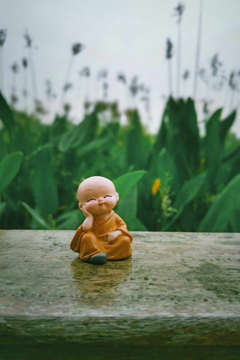 心中有佛～一忧一喜皆心火,一荣一枯皆眼尘 yaniini 图虫