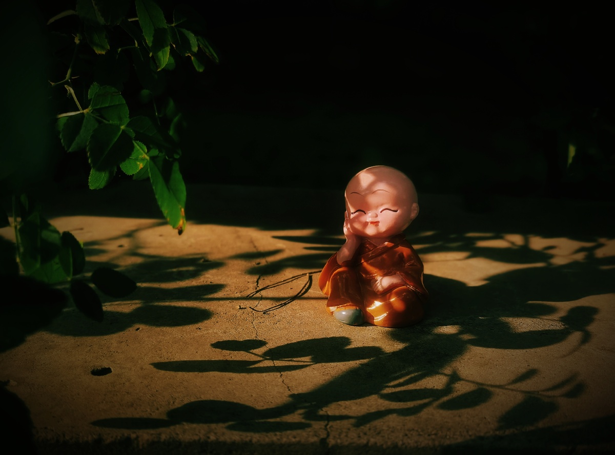 心中有佛心之所向便是阳光心无挂碍便是远方