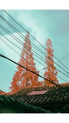 1916B4C8-F300-4A83-970B-1A1E604562DE/L0/001