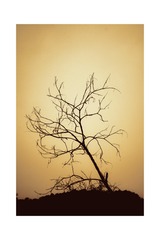 BB627EE8-E601-462A-95FF-3C2EB1032CB1/L0/001