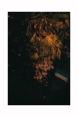 3F567ECA-C234-4897-B83F-CE802FEF8D1E/L0/001