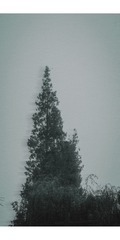 E2142709-8EE4-47D2-B15A-8012992886B1/L0/001