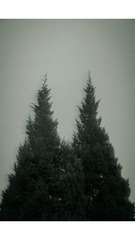 F050EDF2-B686-47EC-A47F-F92C8DCAFEDF/L0/001