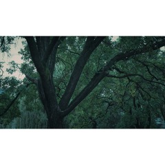 382AD317-CD7F-4A90-9682-BC8713AFF909/L0/001