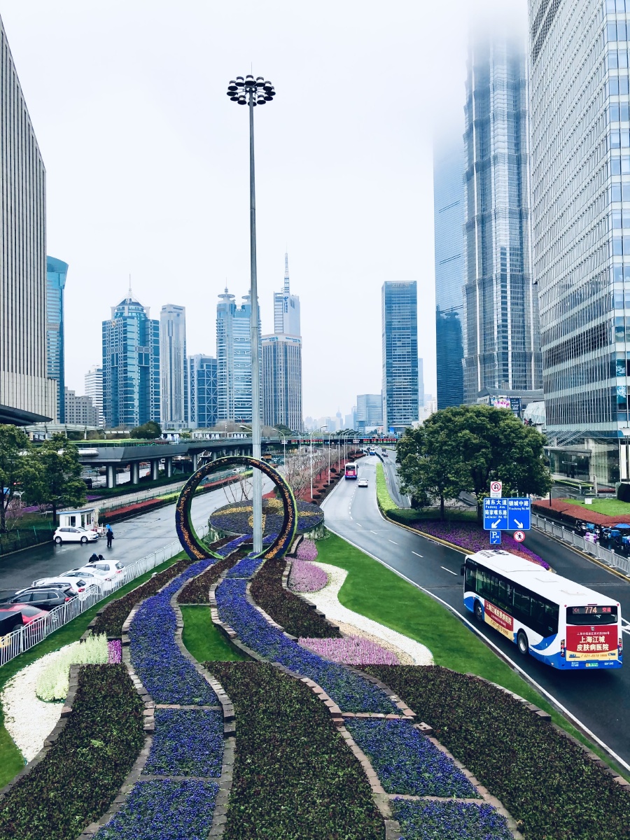 今日陆家嘴建筑交通车人色彩环境纪实街拍