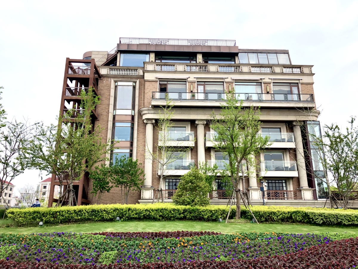 上海龙海商会建筑设计装饰色彩纪实街拍