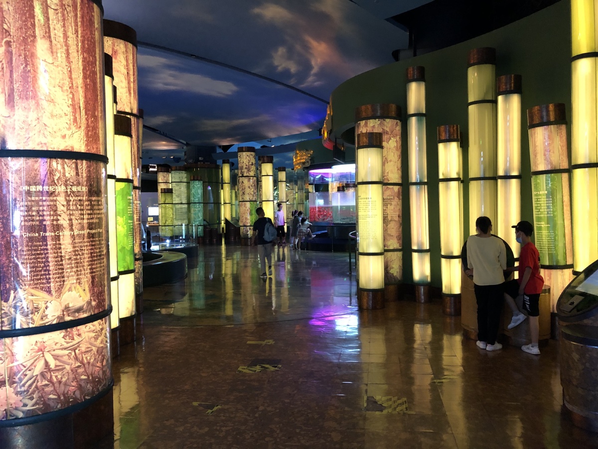 上海科技馆室内装饰设计色彩人文纪实街拍