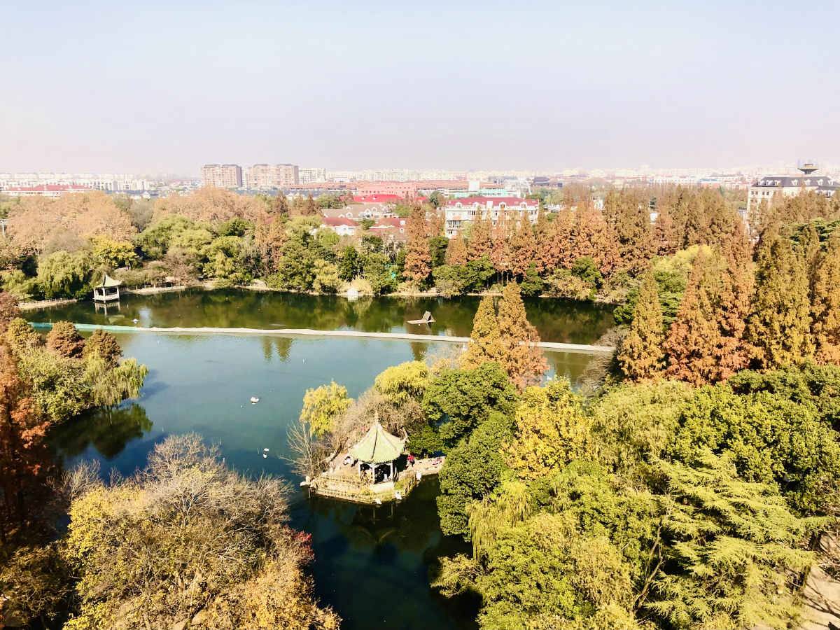 俯瞰上海动物园里的天鹅湖晚秋之美天鹅湖纪实街拍