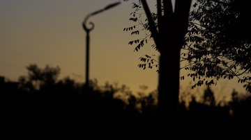 _DSC4211