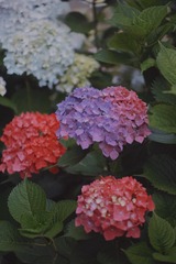 3ED62B2A-DC55-41B0-8F55-093294B60D5C/L0/001