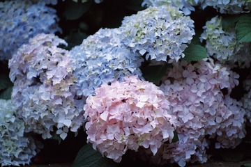 0FC26EEE-20D6-483E-8B5B-0EF69B7659CF/L0/001