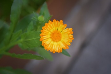 1000077820